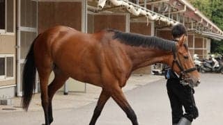 【Ｇ１・１週前まとめ】ホーエリート、戸崎を背に調教で鋭い伸び　田島調教師「展開ひとつで挽回できる」天皇賞・春