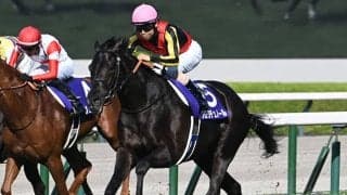 春の長距離王決定戦・天皇賞(春) 米国ではケンタッキーダービー/今週の競馬界の見どころ