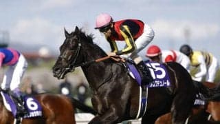 【天皇賞・春登録馬】クロワデュノールなど16頭