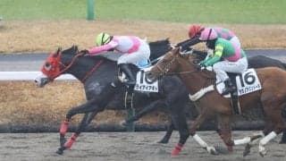 【ユニコーンS登録馬】サウジダービー5着・ケイアイアギトなど16頭