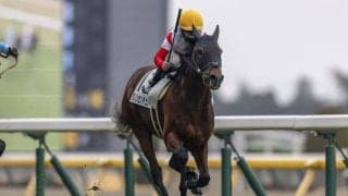 【京王杯SC登録馬】連勝中ダノンセンチュリーなど20頭
