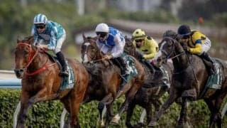 【クイーンエリザベス2世C】凱旋門賞3着馬・ソジーら強豪ヨーロッパ勢は3、4着