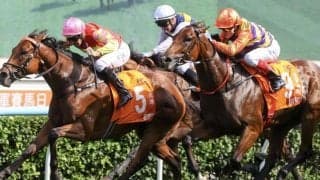 【チャンピオンズマイル】伏兵キャップフェラ激走の2着…ウィリアムズ「国際レベルでも戦えること見せた」