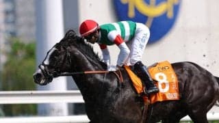 【チャンピオンズマイル】モレイラ「余力が残っていなかった」シュトラウスは12着