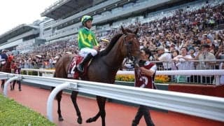 【チェアマンズスプリントプライズ】モレイラ「戦士のような馬」サトノレーヴ、世界最強馬相手に2着