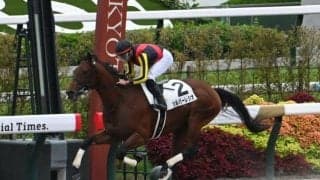 【ユニコーンS見どころ】安定感があるシルバーレシオが重賞初制覇を狙う