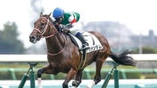 【京王杯SC見どころ】前走が不完全燃焼だったファンダムが巻き返す