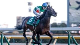 【天皇賞(春)見どころ】昨年の覇者ヘデントールが復権を狙う