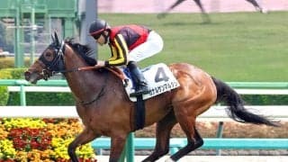 【スイートピーＳ・坂本の特注馬】まだまだ伸びしろたっぷりのカナルサンマルタン　良血の底力は侮れない