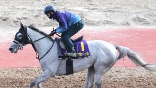 【天皇賞・春・ヤマタケの特注馬】上積みしかないアクアヴァーナルが常識打ち崩す　陣営「いい形でいい条件のＧ１に」