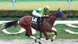 【兵庫ＣＳ・浅子の特注馬】国内で底を見せていないサトノボヤージュ　不安要素あるがオッズ妙味出れば積極買い