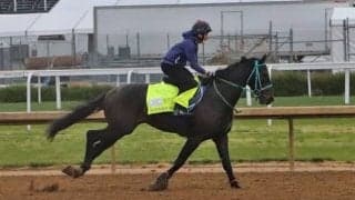 KYダービー出走のダノンバーボンが軽めの調整 現地環境へも順応