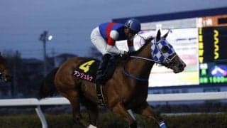 【大井・東京プリンセス賞枠順】6連勝中のアンジュルナは6枠7番