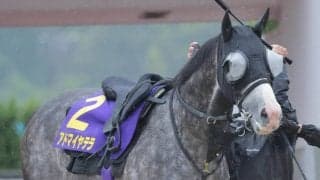 【天皇賞・春】アドマイヤテラは武豊騎手×アドマイヤで２週連続重賞Ｖへ　陣営「スピードの乗り方が良くなった」