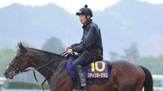 【天皇賞・春】転厩２戦目の慣れ大きいスティンガーグラスは落ち着き十分　陣営「うちの厩舎に順応してくれている感じ」