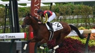 【ユニコーンS想定騎手】シルバーレシオは岩田望来騎手、メルカントゥールは川田将雅騎手