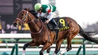 【京王杯SC想定騎手】ファンダムはC.ルメール騎手、ダノンセンチュリーはD.レーン騎手