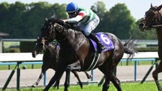 【天皇賞(春)想定騎手】ヘデントールはC.ルメール騎手、クロワデュノールは北村友一騎手