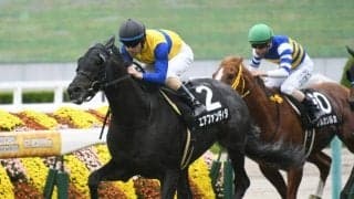 【先週のJRA抹消馬】芝マイルで活躍したエアファンディタ、ダート重賞3勝のサンライズホークなど