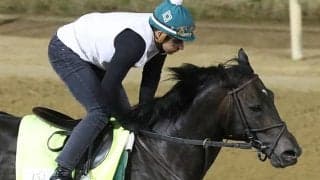 KYダービー前哨戦覇者は2番枠 指揮官「内枠を引くなら…」