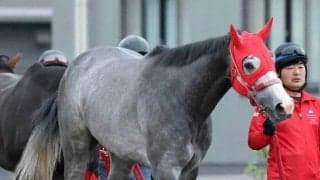 【ユニコーンＳ】国内復帰戦のサウジダービー５着馬ケイアイアギト　加藤征調教師「これくらいの距離の方が」