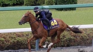 あすのブリーズアップセールに向け騎乗供覧 ツウカイエオスの2024が最速タイム記録