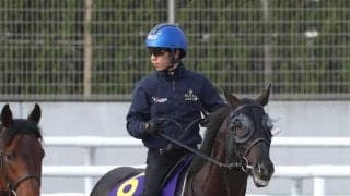 【天皇賞・春】大阪杯からのＧ１連勝へ　クロワデュノールが進む偉大な父をたどる道　陣営「しっかりと動ける状態」