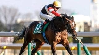 【AI予想・天皇賞(春)】春の盾争奪戦は前走の着順とレース格が結果を左右する!? 意外な馬にも目をつける人工知能の本命候補