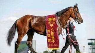 コントレイル産駒の特長は？ 青葉賞Vのゴーイントゥスカイからひも解く