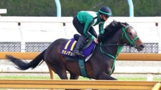 【天皇賞・春】大阪杯４着健闘のタガノデュードは距離の壁に挑戦　陣営「心肺機能は高い馬なので」