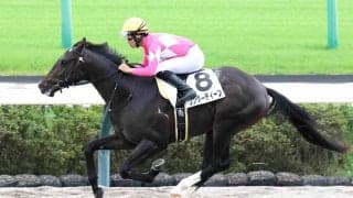 【ケンタッキーダービー】「ヤフーニュースに出ているのを見て...」　予備登録を１４頭＆ワンダーディーンで挑む高柳大輔調教師の熱き思い