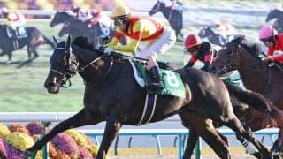 【注目馬動向】京都２歳Ｓ勝ち馬ジャスティンビスタは日本ダービーでの復帰が目標