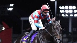 【注目馬動向】カゼノランナーはＧ１級競走連勝かかる帝王賞へ参戦決定　ヤマニンブークリエは新潟大賞典