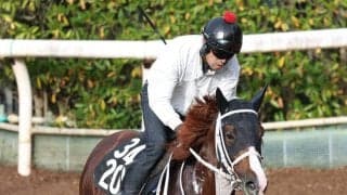 【羽田盃】トリグラフヒルが左後肢ハ行のため出走取り消し　３歳ダート３冠初戦は１３頭立てに