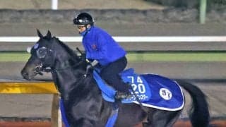【注目馬動向】ディープモンスターが香港でロマンチックウォリアーと激突へ　現役唯一のディープインパクト産駒重賞勝ち馬