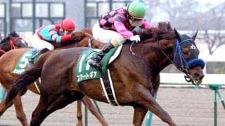 鋭い末脚で愛されたスマートギアが２１歳で死す　１２年の中日新聞杯でＶ　松山弘平騎手の重賞初勝利　障害レースでも白星