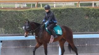 エルドボルグなど、先週のゲート試験/栗東トレセンニュース