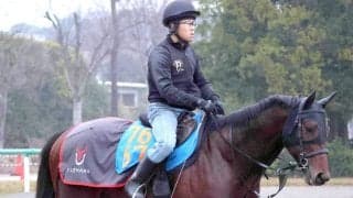 【注目馬動向】ポッドベイダーは函館スプリントＳでの芝再投入を視野　ダートのオープン競走を２勝
