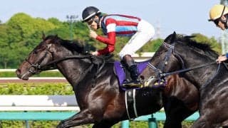 【注目馬動向】皐月賞馬ロブチェンは日本ダービーへ　エリカエクスプレスは引き続き武豊騎手でヴィクトリアマイル参戦