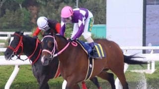 【園田競馬】ＪＲＡ８戦未勝利のワンダーブリングが地方移籍で覚醒！　１０連勝を達成し下原理騎手「負けたら何と言われたことか…」