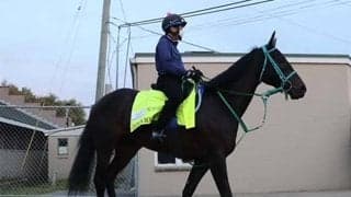 【KYダービー】日本馬は現地で軽めの調整に終始