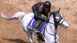 【天皇賞・春】騎手時代に牝馬のウオッカでダービー制覇　四位調教師がアクアヴァーナルで７３年ぶりの牝馬Ｖを目指す