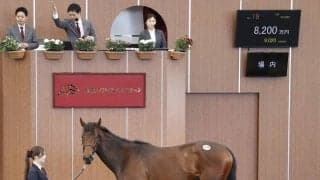 【ブリーズアップセール】レイデオロ産駒「ウインアルエットの２０２４」がセール史上最高額大幅更新の８２００万円で落札