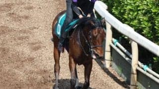 ドリームローパーの2024など、先週の入厩情報/栗東トレセンニュース