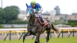 【天皇賞(春)予想オッズ】アドマイヤテラが予想1番人気