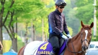 【天皇賞・春】７３年ぶり牝馬Ｖへ　ヴェルミセルは海外遠征明けでも好気配　鮫島克駿騎手「京都は合っています」