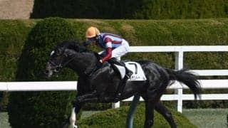 【ユニコーンS予想オッズ】メルカントゥールが予想1番人気