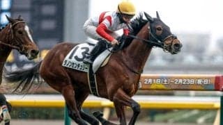 【京王杯SC予想オッズ】ダノンセンチュリーが予想1番人気