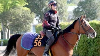 【ユニコーンＳ】セイントエルモズ重賞初挑戦Ｖへ　火曜も活気十分　小島調教師「状態は悪くないですよ」