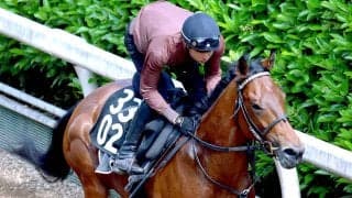 【ユニコーンＳ】決め手鋭いシルバーレシオが砂の新星に名乗り　出世候補に野中調教師「楽しみだよ」と大きな期待